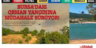 Bursa'daki orman yangınına havadan müdahale sürüyor